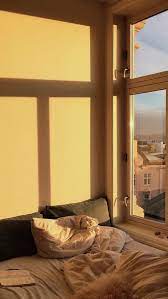 Cali Tiger Aesthetic Rooms Aesthetic Bedroom Dream Rooms