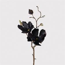 Check spelling or type a new query. Black Magnolia Spray Design Vintage Faux Flowers