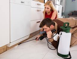 Check spelling or type a new query. How Doing Your Own Pest Control Can Do More Harm Than Good