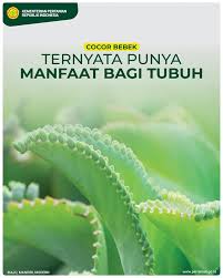 (0251) 8321762 hp & wa: Kementerian Pertanian Republik Indonesia Startseite Facebook