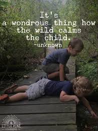30 Quotes About Children And Nature That Will Inspire Outdoor Play Little Pine Learners In 2020 Quotes For Kids Play Quotes Nature Quotes