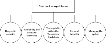 More than half of all adults 65 and older have three or more ongoing medical problems, such as heart disease, diabetes, cancer, or arthritis. The Challenges Of Investigating Antimicrobial Resistance In Vietnam What Benefits Does A One Health Approach Offer The Animal And Human Health Sectors Bmc Public Health Full Text