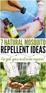 7 Natural Mosquito Repellent Ideas So You Can Enjoy Being Outside Natural Mosquito Repellant Mosquito Repellent Homemade Diy Mosquito Repellent