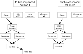 Archon Genomic X Prize Validation Protocol Vp Flow Chart