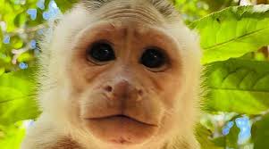 Parque Nacional Natural Tayrona (2025)