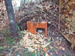 Und der maulwurf konnte versuchen, was Pin Auf Vogelhaus Igelhaus Und Andere Tierhauser