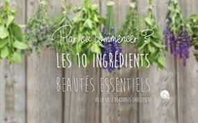 Premiers Pas En Beaute Naturelle Quels Ingredients Essentiels Pour Faire Ses Propres Cosmetiques Maison Les Hu Cosmetique Bio Cosmetique Cosmetiques Maison