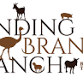 Pumpkin Patch Support event in Bulverde, TX