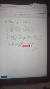 Maybe you would like to learn more about one of these? Ø­Ù„ Ø§Ù…ØªØ­Ø§Ù† Ø§Ù„Ø£Ø­ÙŠØ§Ø¡ Ø§Ù„ØªØ¬Ø±ÙŠØ¨ÙŠ Ù„Ù„ØµÙ Ø§Ù„Ø£ÙˆÙ„ Ø§Ù„Ø«Ø§Ù†ÙˆÙŠ 2020 Ù…ÙˆÙ‚Ø¹ ØµØ¨Ø§Ø­ Ù…ØµØ±