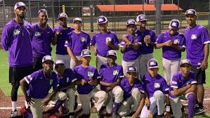 It's your shortcut to getting everything you need to know about starting and running a successful baseball program, check it out today! Mlb Youth Academy Travel Teams Succeeding