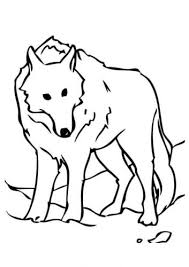 All of the images of wolf coloring pages for adults here can be used for free, but you must only use them for personal purpose. 25 Free Wolf Coloring Pages Printable