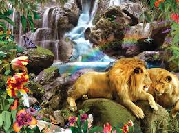 Love Lion Waterfall 1000 Pieces Sunsout Puzzle Warehouse Animals Beautiful Tiger Pictures Lion Sculpture