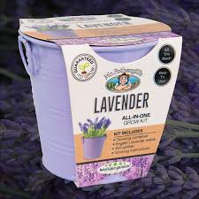 grow kit tin : lavender by boutique