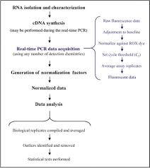 Pcr was developed by kary mullis in 1980s. Real Time Pcr For Mrna Quantitation Biotechniques