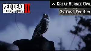 Where To Find An Owl Consistent Spawn Red Dead Redemption 2 Owl Feathers Location Guide Rdr2 Youtube