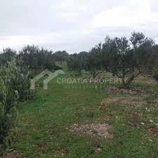 Maybe you would like to learn more about one of these? Agricultural Land For Sale Brac Croatia Property Net