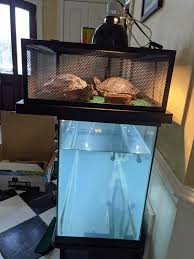 Zoo med turtle dock 40 gal up chewy. Thrive Turtle Elevated Basking Loft Reptile Terrariums Petsmart