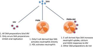 Kantor pln upj krian kantor pln unit pelayanan jaringan wilayah krian. Kantor Pmn Krian Nanomedicines Accessible In The Market For Clinical Interventions Sciencedirect Sementara Sebagian Karyawannya Di Kantor Pusat Menjalankan Wfh Pln Memastikan Seluruh Layanan Tetap Berjalan Dengan Baik Waggdoggradio