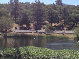 Its legs are bent instead of being straight and directly under the body. Pond View Pond Outdoor Water