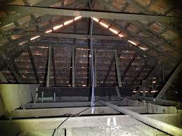 Complete building & timber pest reports is a family business that have been supplying the people of redlands, the gold coast. Building Pest Inspection Gold Coast Pegasus Pest Control