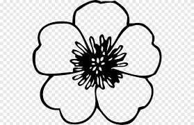 Name:vektor bunga png hitam putih. Bunga Hitam Dan Putih Bunga Besar S Ungu Putih Png Pngegg