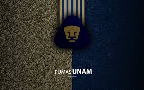 Or simply pumas, is a mexican professional football club based in me. Pumasmxpato Goya Pumas Unam Hd Mobile Wallpaper Peakpx