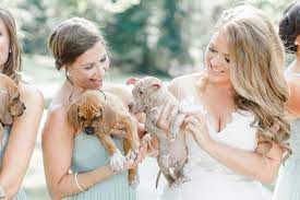 Available in 5 sizes, the forget me knot bouquet will be the perfect addition to your wedding or not sure which size will work for you and your wedding party? This Wedding Party Had Rescue Puppies Instead Of Flowers To Send A Beautiful Message Bored Panda
