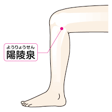 腸脛靭帯炎に効果的なツボ5選！根本改善の鍵はスポーツ鍼灸 | 鍼灸院予約・検索サイト「健康にはり」