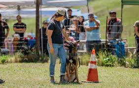 Meet Our Expert Dog Trainers and Behaviorists