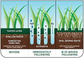 Get the best deals on lawn aerators. Lawn Aeration And Seeding Sterling Tree And Lawn Long Island