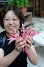 Bento filler and staple: Sweet stewed haricot, navy or white beans (Ingen  no nimame)