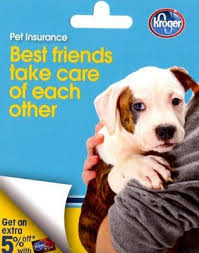 A health insurance plan for your pet frees you from financial stress when choosing the best available veterinary care for your furry friend. Pin On I Love Pit Bulls U Should 2