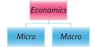 Differences Between Micro And Macro Economics With