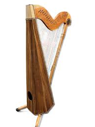 Image result for Harpachne