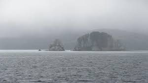 Free Stock Photo of Mysterious Foggy Island | Download Free Images and Free  Illustrations
