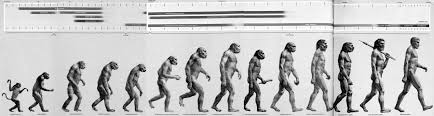 What Our Most Famous Evolutionary Cartoon Gets Wrong The
