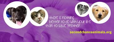 Second chance animal adoption inc. Second Chance Animal Services Home Facebook