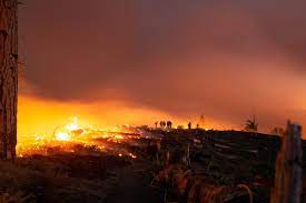 Only on kcra 3 news. California Wildfires The Biggest Fires Currently Burning In The State Los Angeles Times