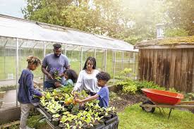 Maybe you would like to learn more about one of these? Gardening May Improve Your Wellbeing And Lower Stress Martha Stewart