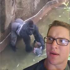 nick fendt (@NFendt)