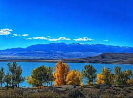 winkwink333 cute wink fishnet rip