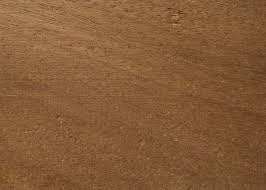 Image result for Lovoa swynnertonii