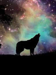 Download hd wallpapers for free on unsplash. Wolf Old Mobile Cell Phone Smartphone Wallpapers Hd Desktop Backgrounds 240x320 Images And Pictures