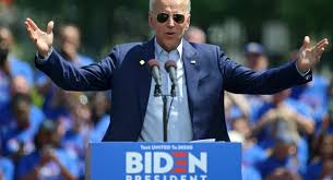 Image result for Bidens crocea