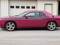 Image result for Furious Fuchsia 2010 Challenger