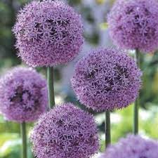 Pin On Nature