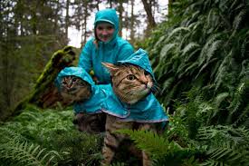 Check out asos design for all the latest trends in modern fits. Meet Bolt And Keel Canada S Adventure Cats G Adventures