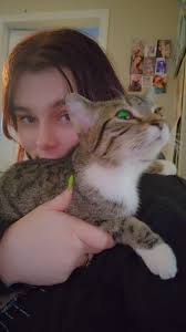 Lost cat in 1400 block ave I north Saskatoon area