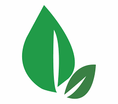All leaf clip art are png format and transparent background. Leaves Clipart Dark Green Leaf Dark Gr 1136596 Png Images Pngio