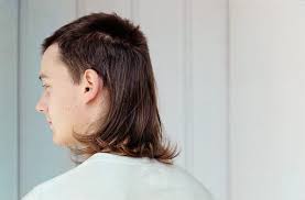 We did not find results for: 8 Year Old Wins First In Kids For Best Mullet In U S